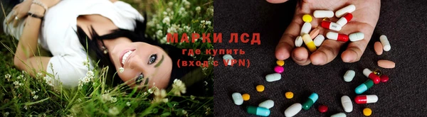 дмт Ростов