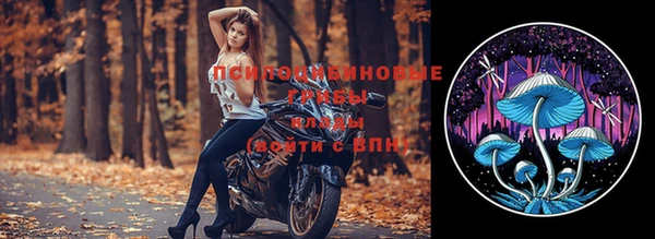 МДПВ Алзамай