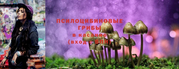 прущая мука Алексин