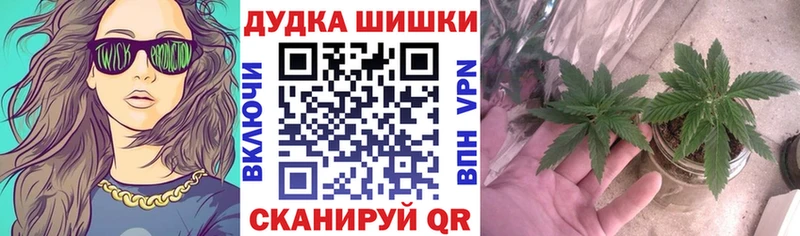 Конопля OG Kush  даркнет сайт  Емва 